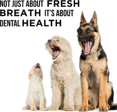 Natural Rapport Dog Mouthwash - The Only Doggy Mouthwash Dogs Need