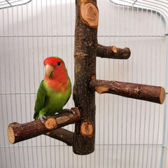 Parrot Bird Wood Stand Pole Toy